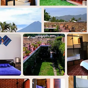 Tzunun , Antigua Guatemala